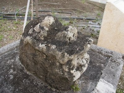 🏛️ 타가미의 시사 (A) (타가미노 시사 에이) 이미지 2